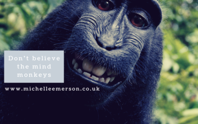 Don’t Believe The Mind Monkeys