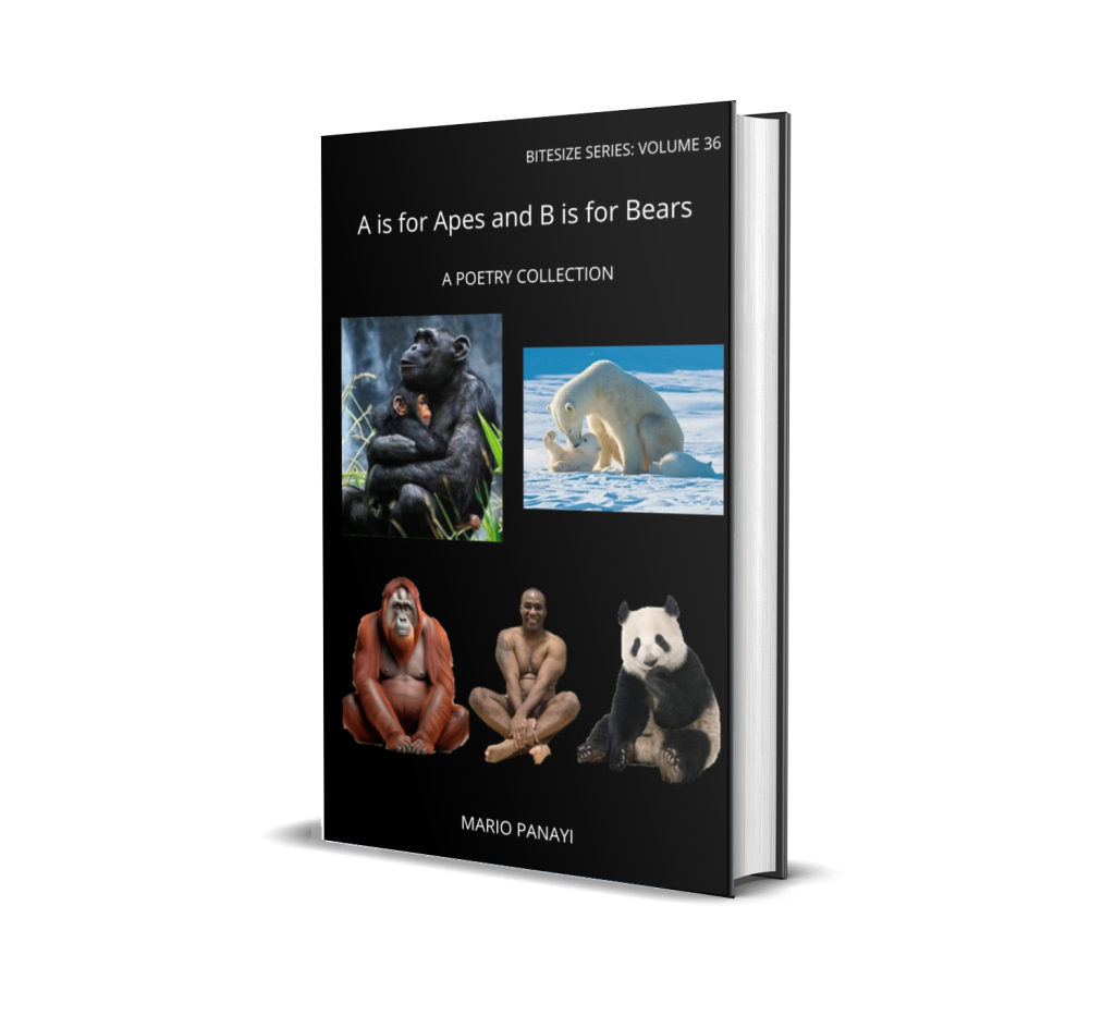 michelle-emerson-self-publishing-services